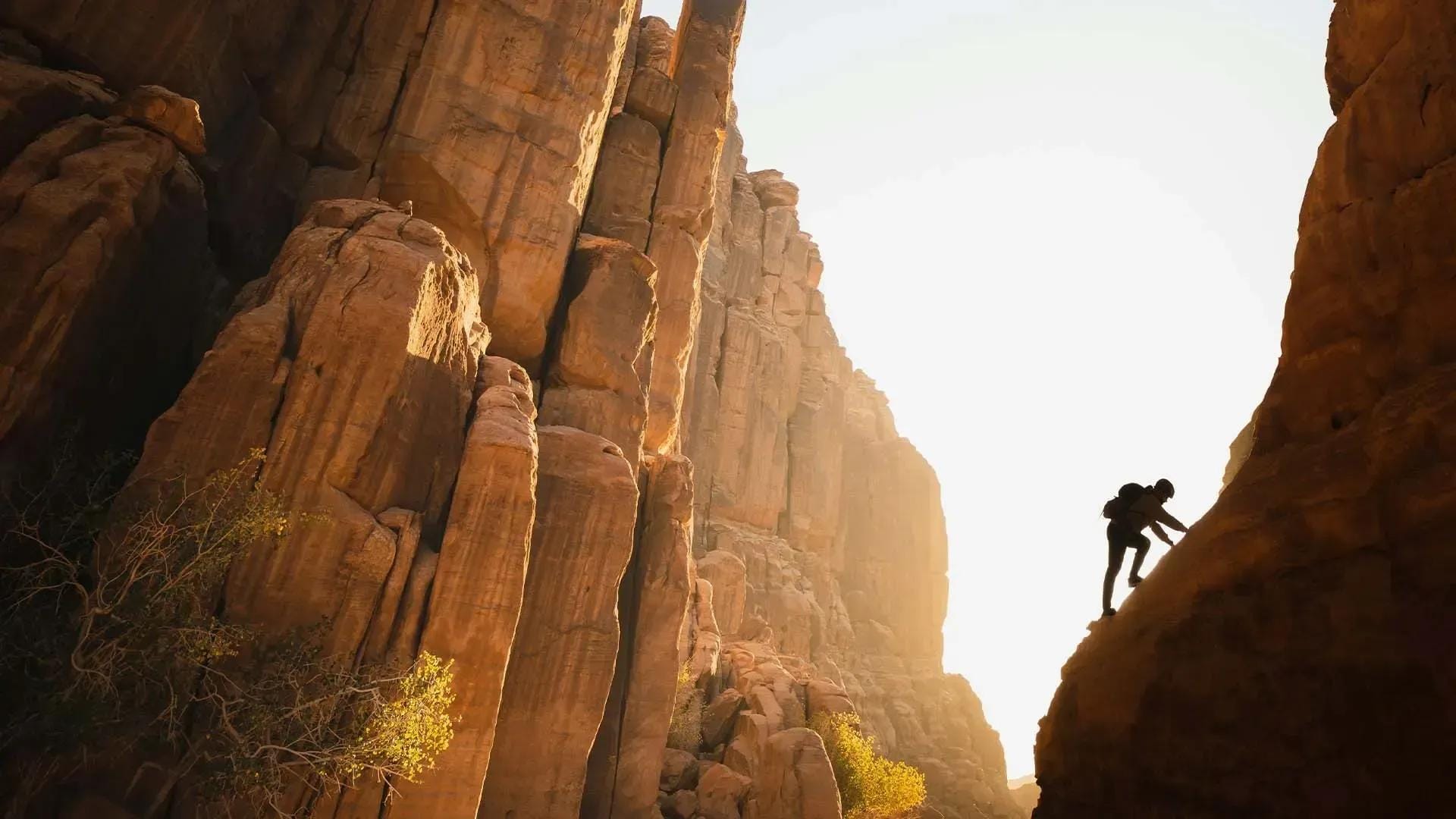 IATI Grandes Viajerps